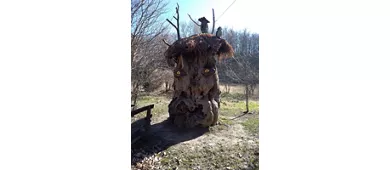 Museum der Kastanie und des Borlengo ZOCCA (MO)