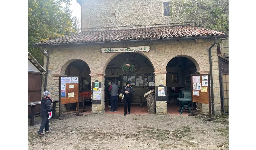 Museo del Castagno e del borlengo ZOCCA(MO)