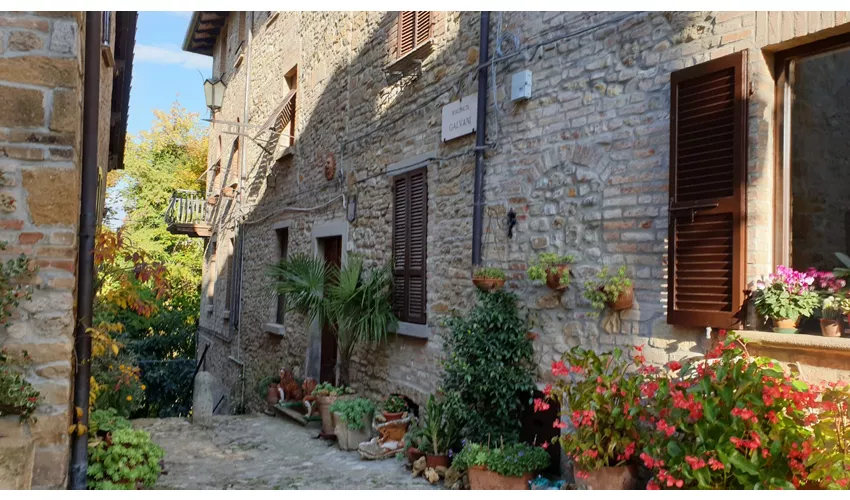 Museo Luigi Illica