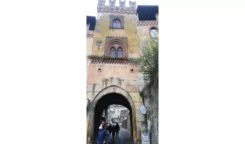Museo Luigi Illica