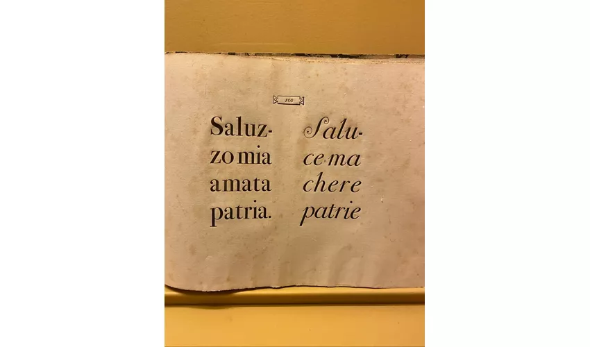 Museu Bodoniano