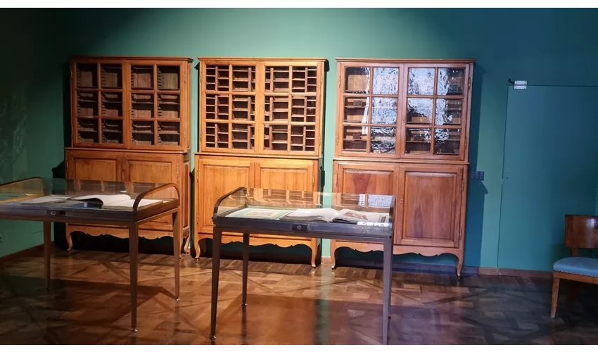 Museu Bodoniano