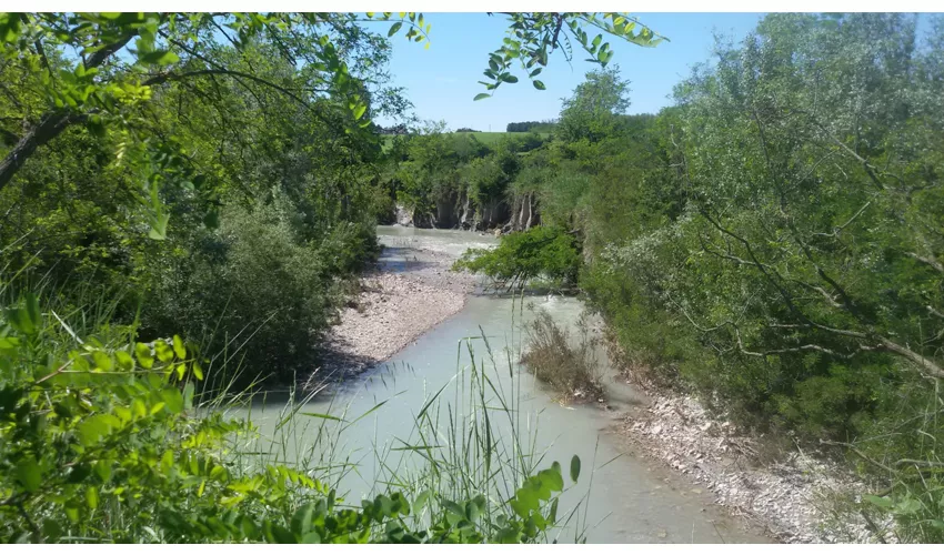 Parco regionale dello Stirone e del Piacenziano