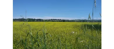 Parco regionale dello Stirone e del Piacenziano