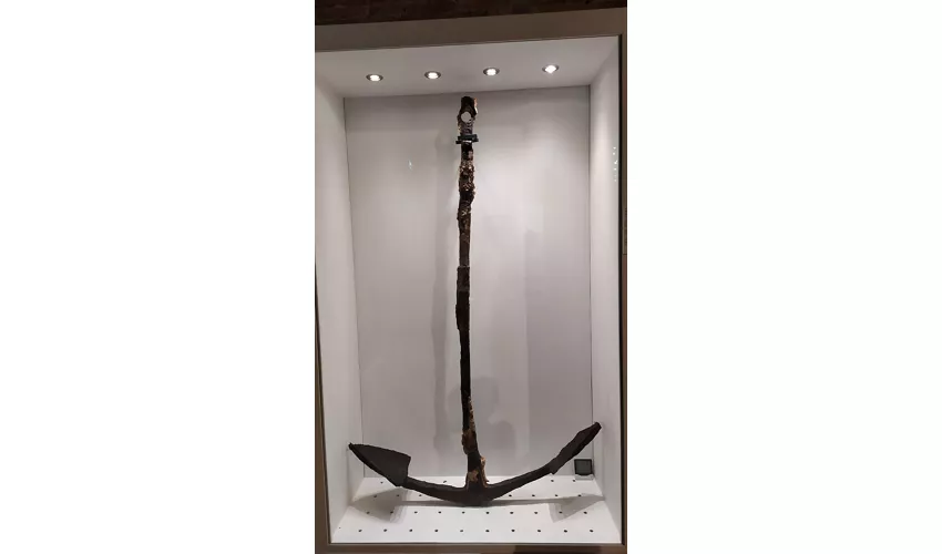 MUSA • Museo del Sale
