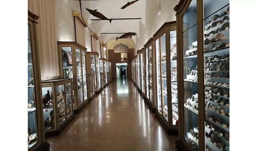 Museus Cívicos de Régio da Emília