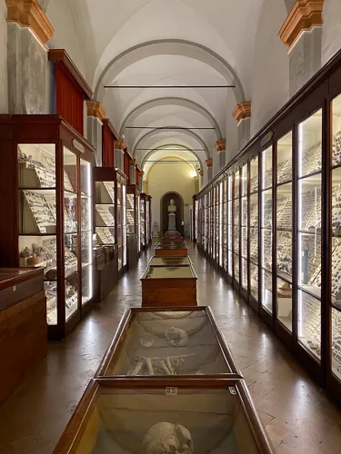 Musei Civici di Reggio Emilia