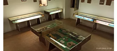 Museo Delle Conchiglie