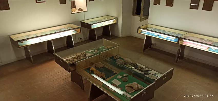 Museo Delle Conchiglie