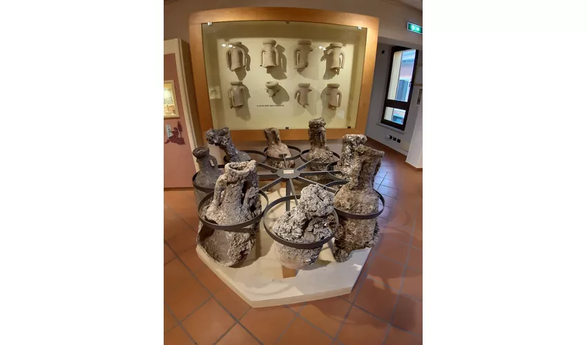 Museo della Regina