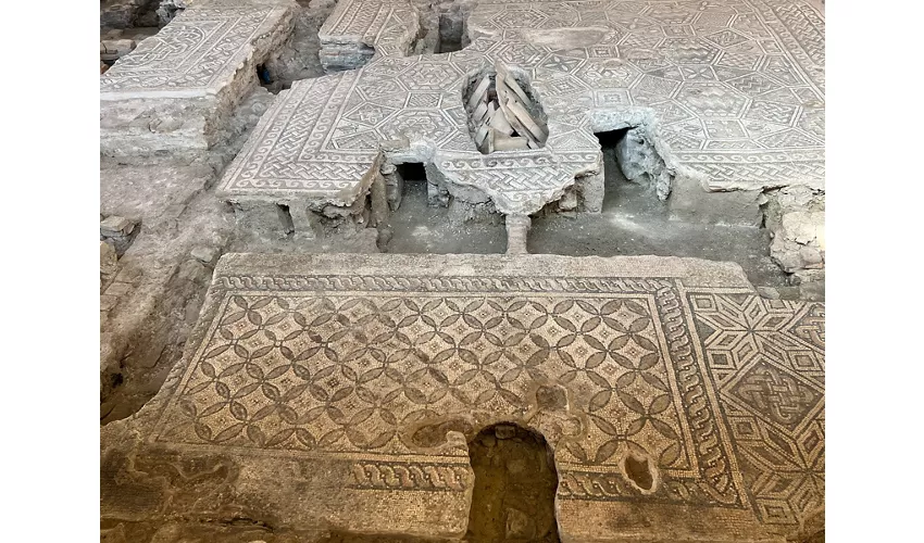 Domus del Chirurgo