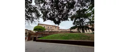 Domus del Chirurgo
