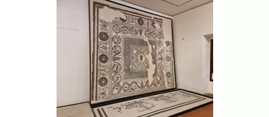 Domus del Chirurgo