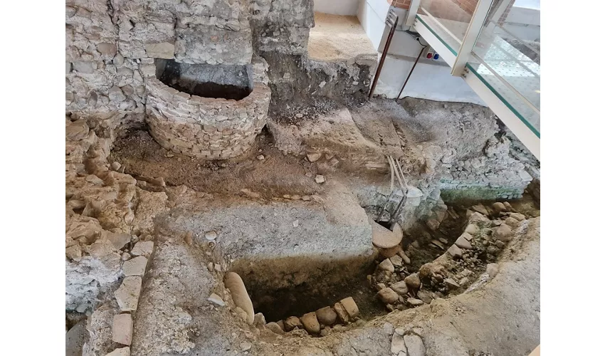 Domus del Chirurgo
