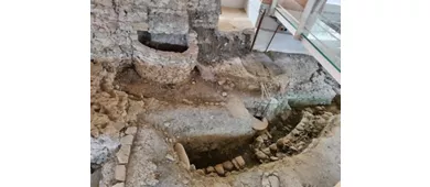 Domus del Chirurgo
