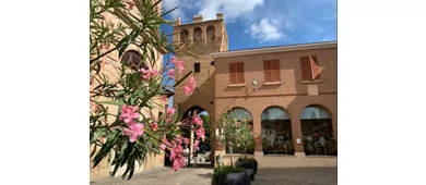 Museo di Saludecio e del Beato Amato