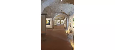 Raccolta Civica D'Arte Contemporanea