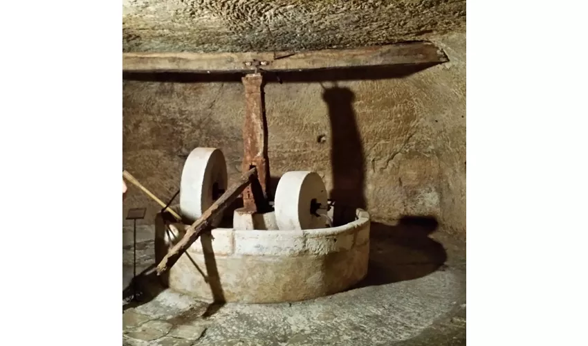 Museo Trappeto Maratea