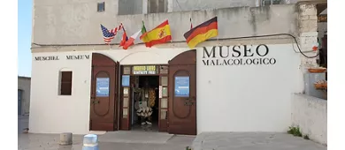 Museo Malacologico Vieste