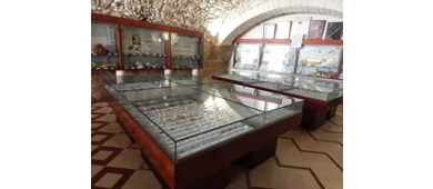 Museo Malacologico Vieste