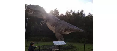 Museo di Storia Naturale del Salento