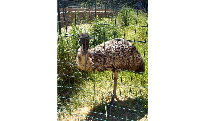 Naturkundemuseum des Salento