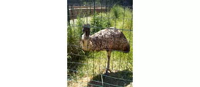 Naturkundemuseum des Salento