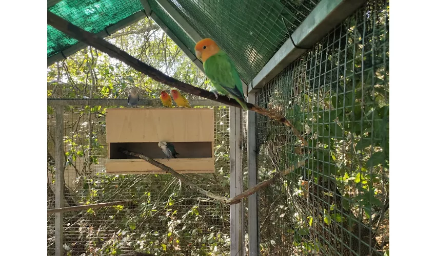 Naturkundemuseum des Salento