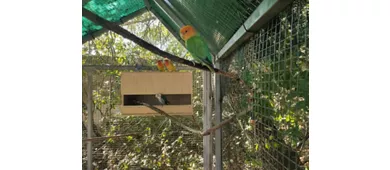 Naturkundemuseum des Salento