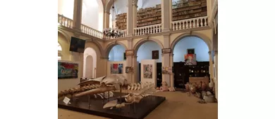 Museo Civico Emanuele Barba