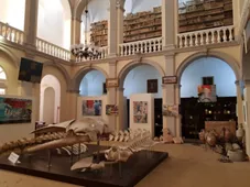 Museo Civico Emanuele Barba