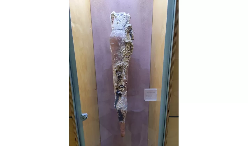 Museo Civico di Paleontologia e Paletnologia Decio de Lorentiis