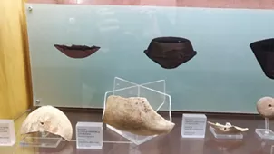 Museo Civico di Paleontologia e Paletnologia Decio de Lorentiis