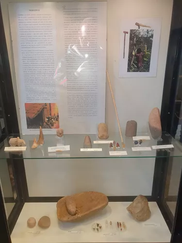 Museo Civico della Paleontologia e dell'Uomo