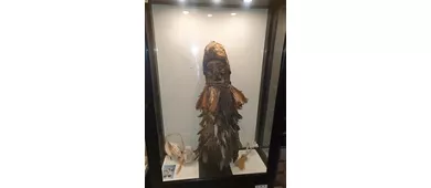Museo Civico della Paleontologia e dell'Uomo