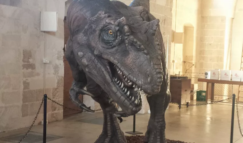 Museo Civico della Paleontologia e dell'Uomo