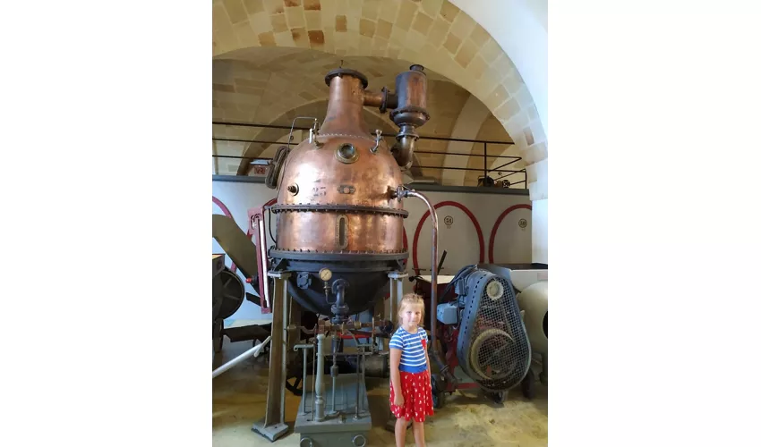 Museo della Civiltà del Vino Primitivo