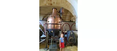 Museo della Civiltà del Vino Primitivo