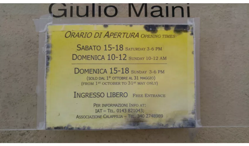 Museo Paleontologico Giulio Maini