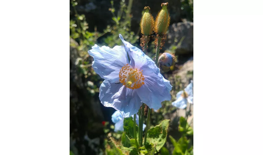 Botanischer Garten von Oropa