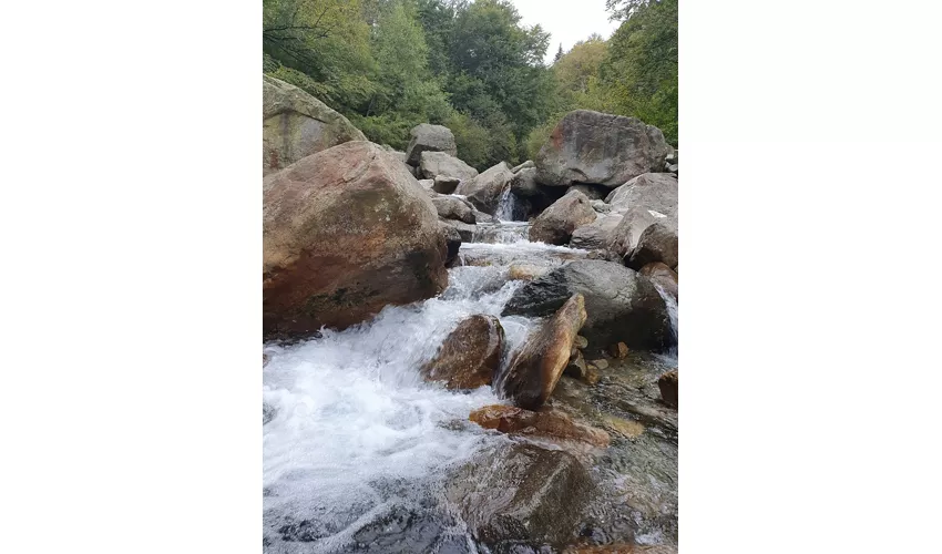 Botanischer Garten von Oropa