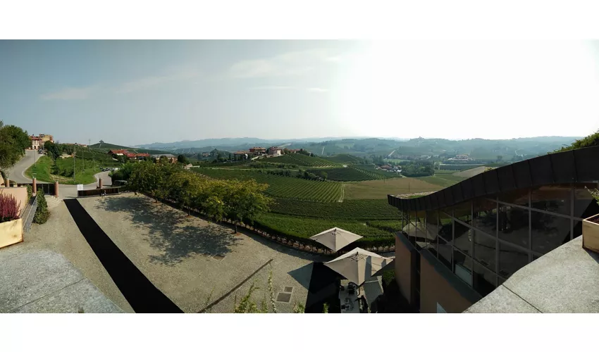 Cantina Ratti