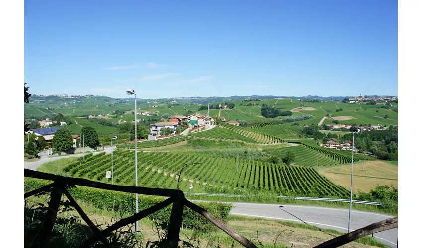 Cantina Ratti