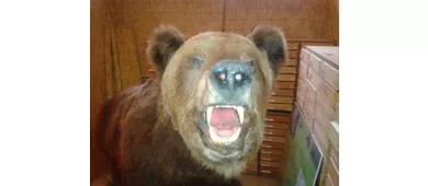 Städtisches Museum für Naturgeschichte Carmagnola