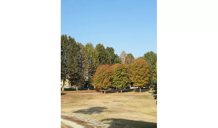 Museu Cívico de História Natural de Carmagnola