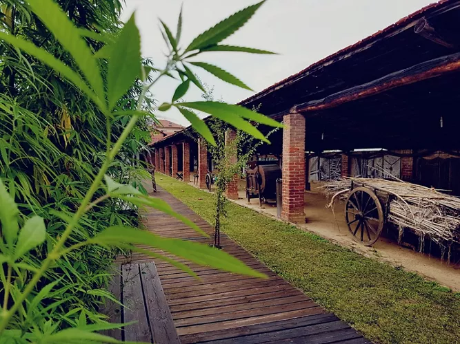 Ecomuseo della Cultura della Lavorazione della Canapa