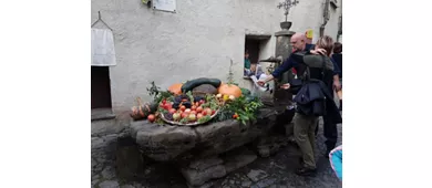 Ecomuseo della Castagna