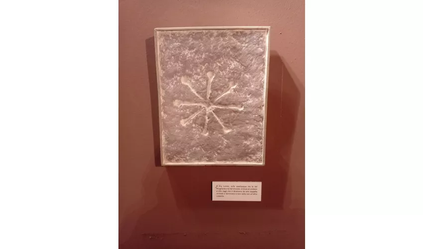 Museo Civico di Arte Preistorica