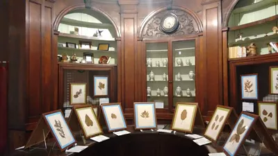 Civico Museo Didattico di Scienze Naturali Mario Strani