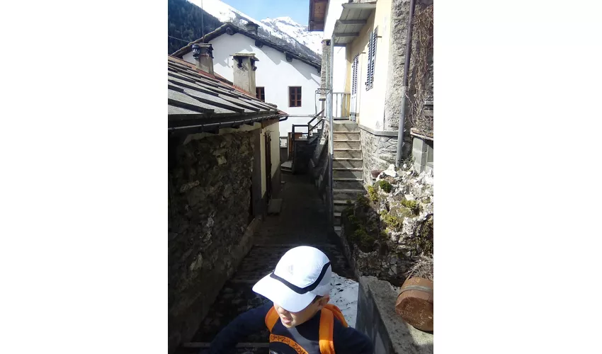 Museo di Rodoretto